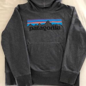 Patagonia Hoodie Size M